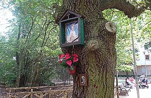 Zagadka. Gdzie znajduje się ta kapliczka?