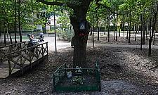 Zagadka. Gdzie znajduje się ta kapliczka?