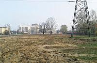 Mi�dzy D�bem a G�rk�. Dziwny park na Nowodworach