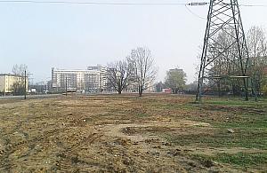 Między Dębem a Górką. Dziwny park na Nowodworach