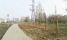 Między Dębem a Górką. Dziwny park na Nowodworach