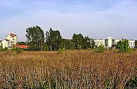 Od "pól kartofli" do betonu i asfaltu. Tak zmieniło się centrum dzielnicy