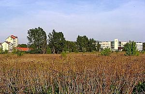 Od "pól kartofli" do betonu i asfaltu. Tak zmieniło się centrum dzielnicy