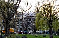 Stare Bielany rozkwitną. "To może być piękny skwer"