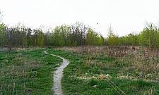 A gdyby tak góry na Górcach? Zaskakujący pomysł na minipark