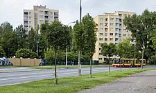 Targówek 2019: metro, ścieżki biegowe, zieleń i... ronda