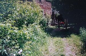 Narwiańska - ulica, po której nic nie zostało