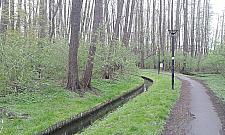 Półdziki i niezwykle cenny. Park Olszyna czeka w kolejce