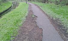 Półdziki i niezwykle cenny. Park Olszyna czeka w kolejce