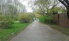 Półdziki i niezwykle cenny. Park Olszyna czeka w kolejce