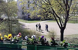 Frajda wróci na Stare Bielany? "Sąsiad robił lodowisko"