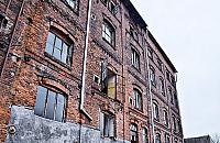 Pollena-Aroma: ostatnie chwile przed nowym życiem