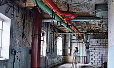 Pollena-Aroma: ostatnie chwile przed nowym życiem