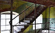 Pollena-Aroma: ostatnie chwile przed nowym życiem