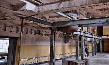 Pollena-Aroma: ostatnie chwile przed nowym życiem