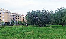 Skwer Ogrody Mehoffera coraz bliżej