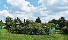 Jedni pielą, inni grillują. Działki przyciągają niczym magnes