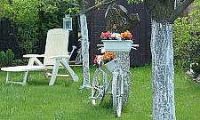 Jedni pielą, inni grillują. Działki przyciągają niczym magnes