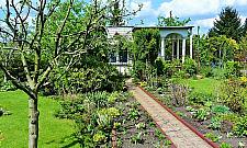 Jedni pielą, inni grillują. Działki przyciągają niczym magnes