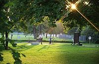 Jelonki ozdobi "ogród zmysłów"? Zdecydują mieszkańcy