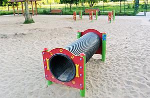 Psi raj na Bielanach. Jeden czy może dwa?