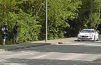Nowodwory: sarna potr�cona przez samoch�d