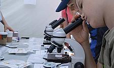 Kalejdoskop po raz piąty. Wielki piknik w parku Bródnowskim