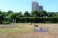 Korty czy plac zabaw w parku? Tenisiści z Bródna nie składają broni