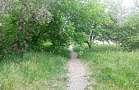 "Park angielski" przy Botewa - nowy pomys� dla Tarchomina
