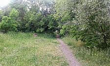 "Park angielski" przy Botewa - nowy pomysł dla Tarchomina