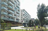 Kable zablokowa�y budow� szko�y na Odolanach