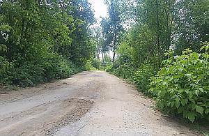 Białołęcka do remontu. Powstaje "rowerowa autostrada"