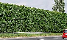 Tak mogą wyglądać ekrany na trasie mostu