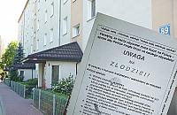 Plaga w�ama� na legionowskich osiedlach