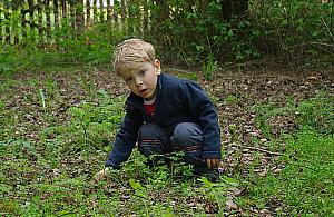 Akcja Franek. Nastrojowy koncert dla małego chłopca