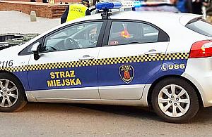 Nietypowa akcja straży miejskiej. Kobieta zaczęła rodzić w aucie