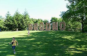 Nowości w parku Bródnowskim. Grill a może bieganie?