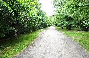 Najbardziej tajemnicze miejsce Targówka. "Kiedyś stały tu domy"