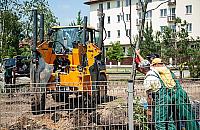 Zacisze dosta�o drzewa w prezencie