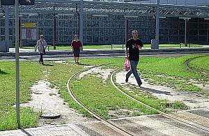 "Ludzie nie marzą o nadkładaniu drogi". Młociny do poprawki?