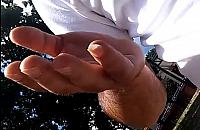 "Moja przygoda z imigrantem". "Rasisto j****y!"