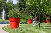 Donice zostają w parku. "Zdecydowali mieszkańcy"