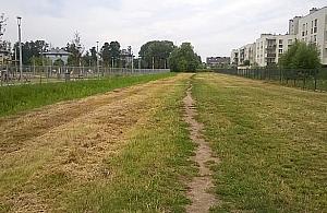 Górka saneczkowa, kino plenerowe... Co wybrała wschodnia Białołęka?