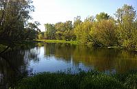 Wybraliśmy plażę... i 90 innych projektów