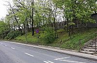 Mehoffera: progów i drogi rowerowej nie będzie