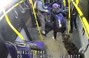 Pobicie w autobusie na Młocinach. Policja szuka młodych sprawców