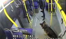 Pobicie w autobusie na Młocinach. Policja szuka młodych sprawców