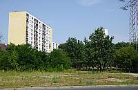 Pierwszy psi park w Legionowie ju� niebawem