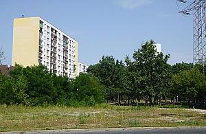 Pierwszy psi park w Legionowie już niebawem