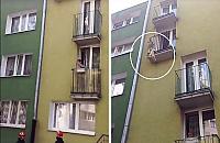 Akcja strażaków na Wrzecionie. Pies wisiał na balkonie